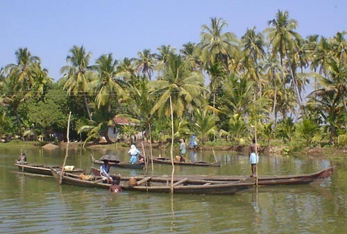 Cruising the myriad of ’backwaters’ in a comfortable rice boat offers many scenes like this © SW